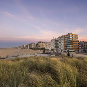 www.hotelvillaselect